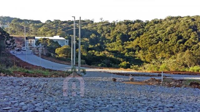 Terreno à venda em São ciro, Caxias do sul cod:2181