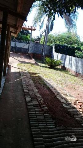 Chácara - São João - Flórida/PR - Foto 9