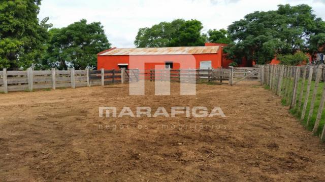 Chácara à venda em Uruguai, Uruguai cod:5557 - Foto 12