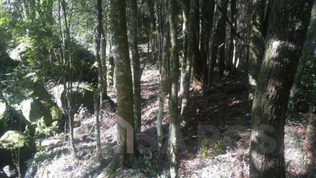 Terreno à venda em Monte bérico, Caxias do sul cod:2066 - Foto 5