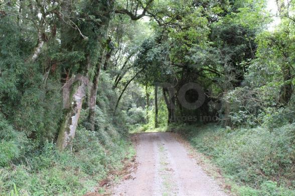 Terreno à venda em Fazenda souza, Caxias do sul cod:302 - Foto 8