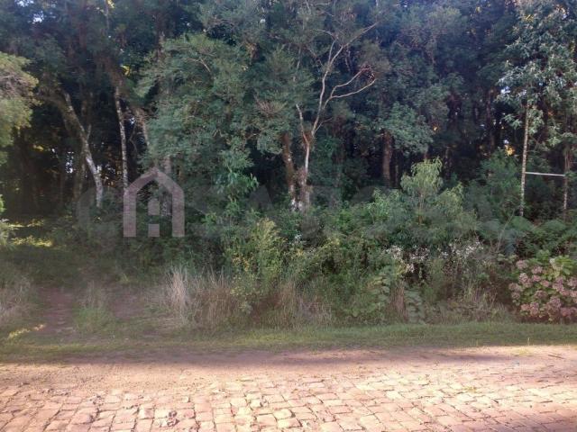 Terreno à venda em Ana rech, Caxias do sul cod:905