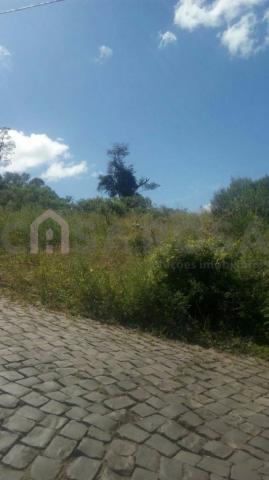 Terreno à venda em Nossa senhora das graças, Caxias do sul cod:1047 - Foto 2