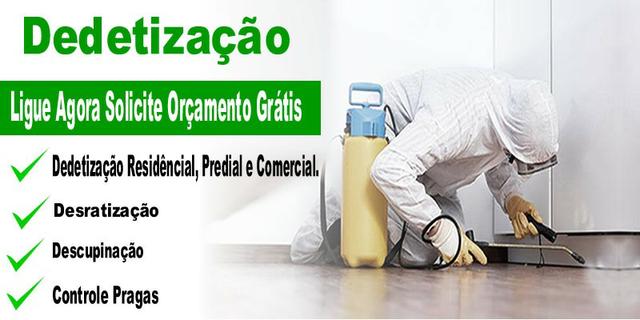 Dedetização e controle de pragas