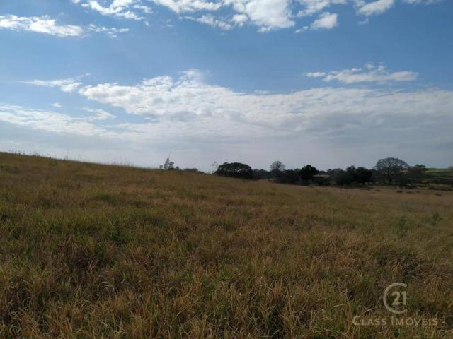 Fazenda Pecuária Santa Cecilia do Pavão PR - Foto 10