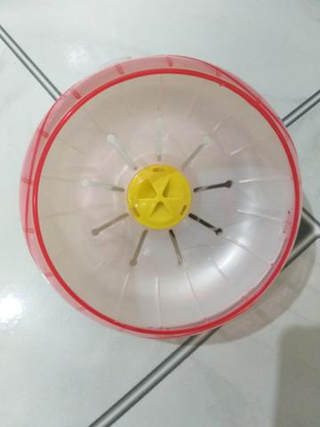 Rodinha de acrílico para hamster