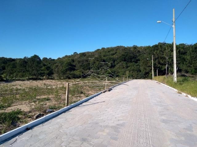 Terreno à venda em São joão do rio vermelho, Florianópolis cod:1735 - Foto 2