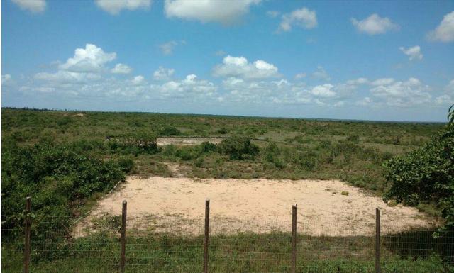 Fazenda com 41 hectares de 600,000,00 por 400.000,00 4k da entrada de Muriú - Foto 8