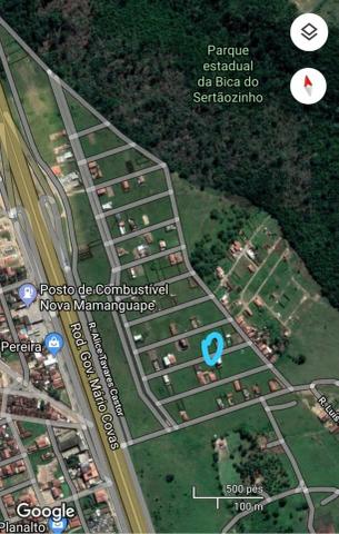 Terreno Em Mamanguape 300 metros² - Foto 3