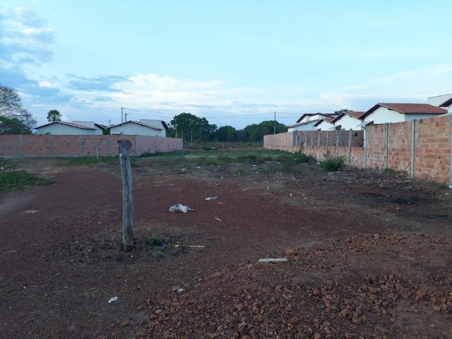 Terreno em Barras PI - Foto 5