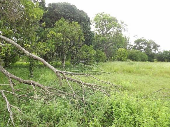 Terreno à venda em Ingleses, Florianópolis cod:394 - Foto 6
