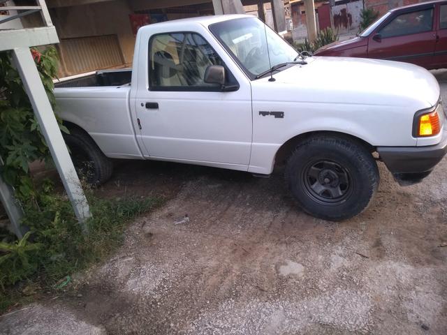 Ranger americana