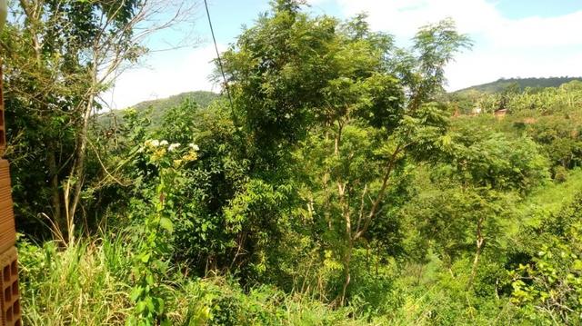 Ótima propriedade em Glória do Goitá - Foto 5