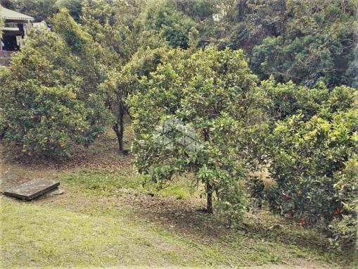 Casa à venda com 3 dormitórios em Vinosul, Bento gonçalves cod:9889739 - Foto 15