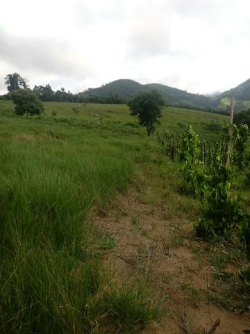 Sitio em monte alto -itaipe - Foto 3
