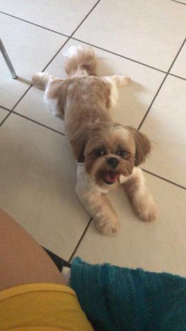 Procuro uma namoradinha!! - Foto 3