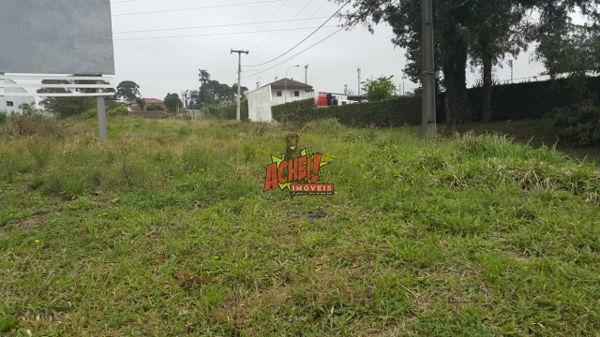 Terreno em rua - Bairro São Pedro em São José dos Pinhais - Foto 3