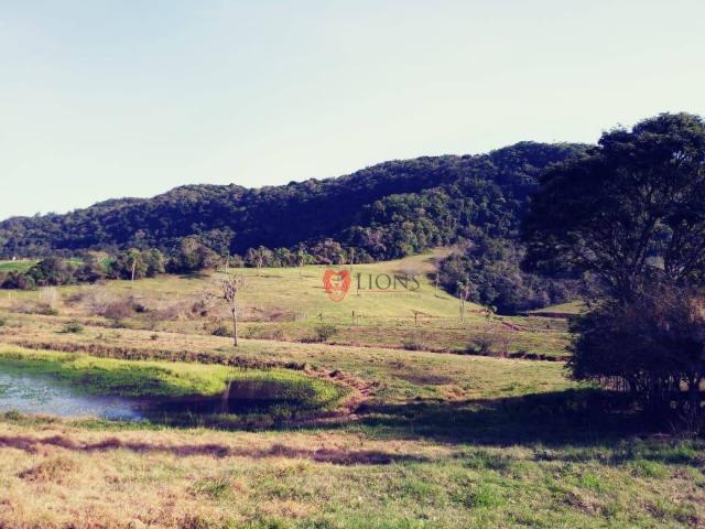 Sítio com 3 dormitórios à venda, 2000 m² por R$ 280.000 - Morungava - Gravataí/RS - Foto 6