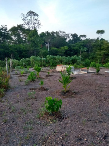 Vende-se um terreno - Foto 2