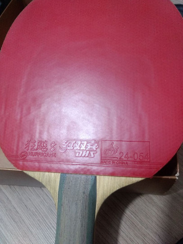 Raquete Tênis de Mesa e Ping Pong DHS 6002 - Foto 2