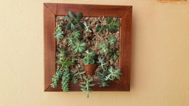Molduras - Foto 4