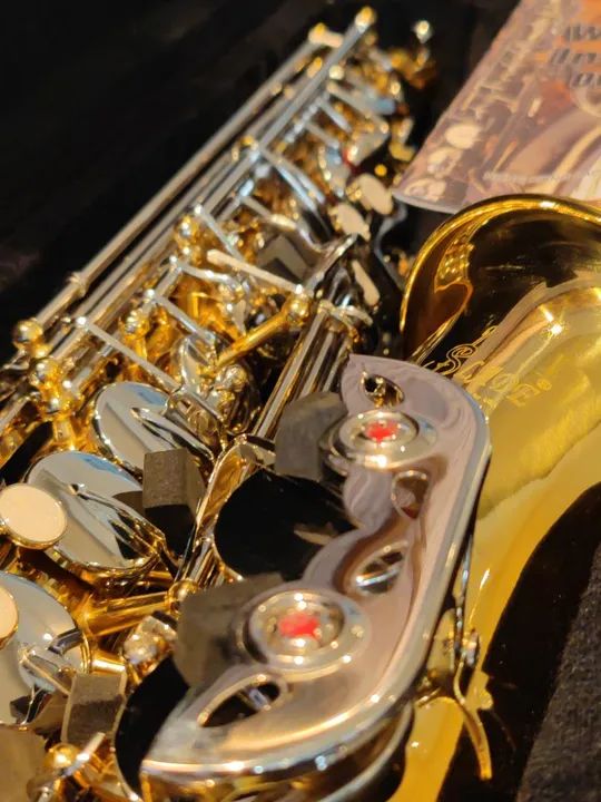 Sax Alto Novo Líder Absoluto em Vendas de Saxofones na OLX - Foto 2