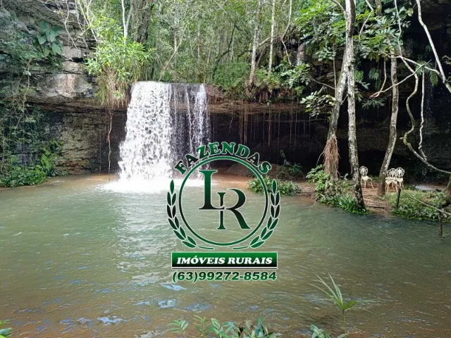 Fazenda 23 Alqueires Taquaruçu Tocantins