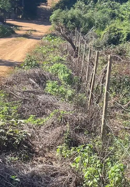 foto - Vitória - Bela Vista