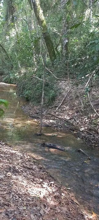 Sitio com 4 alqueires com lindo riacho no meio da mata