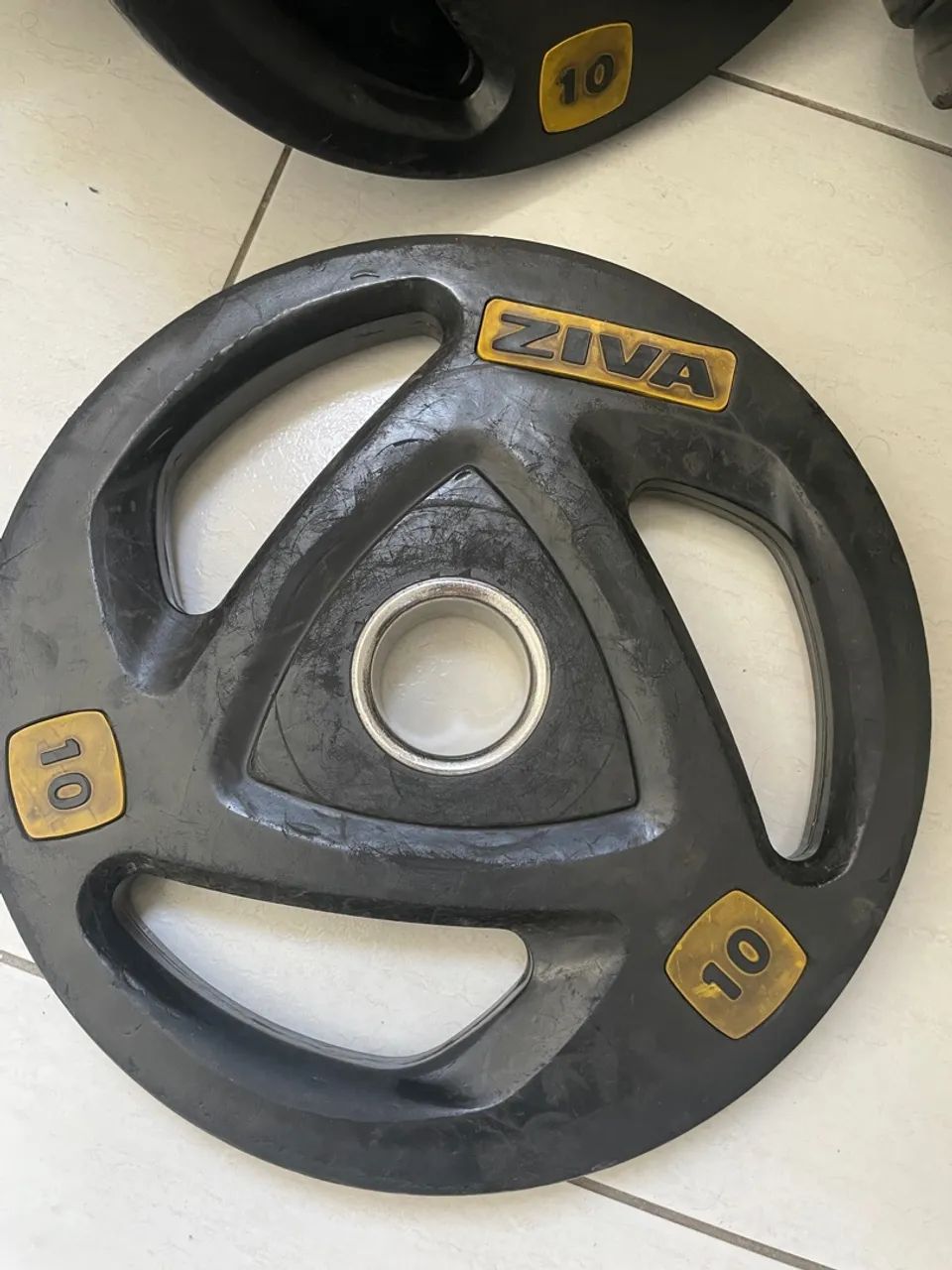 Anilha Ziva musculação Peso