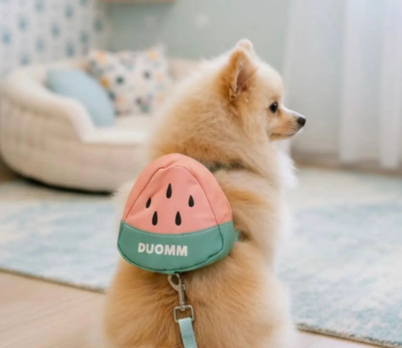 Coleira peitoral com mochila pet, cães e gatos