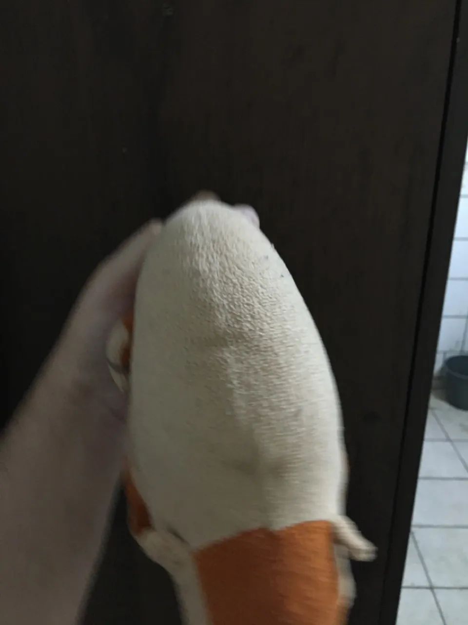 pelúcia de tatu guaraná - Foto 3