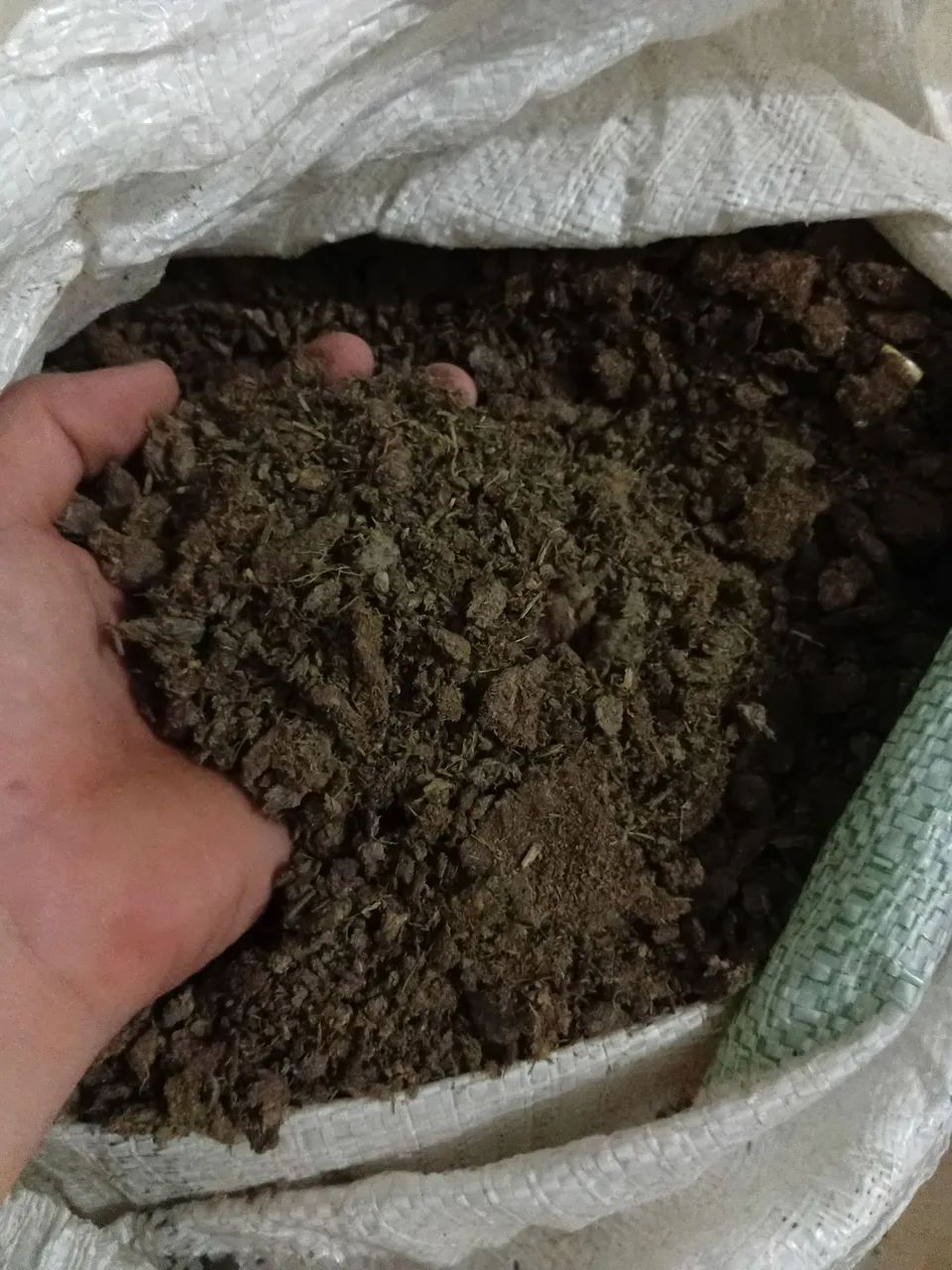 Esterco bovino puro de qualidade 