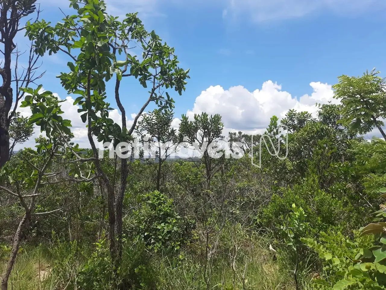 Venda Lote-Área-Terreno Área Rural de Betim Betim