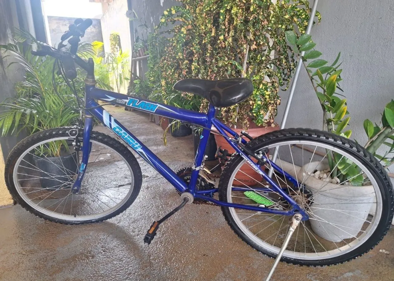 Bicicleta Aro 24 Flash