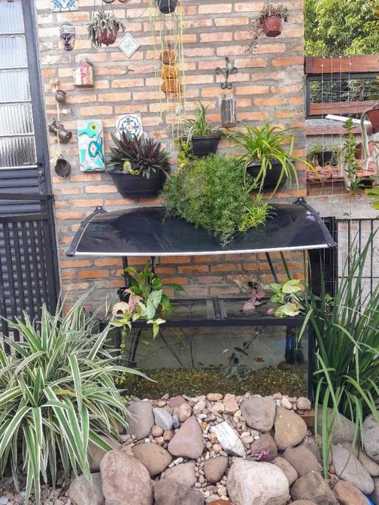 Aquário completo 