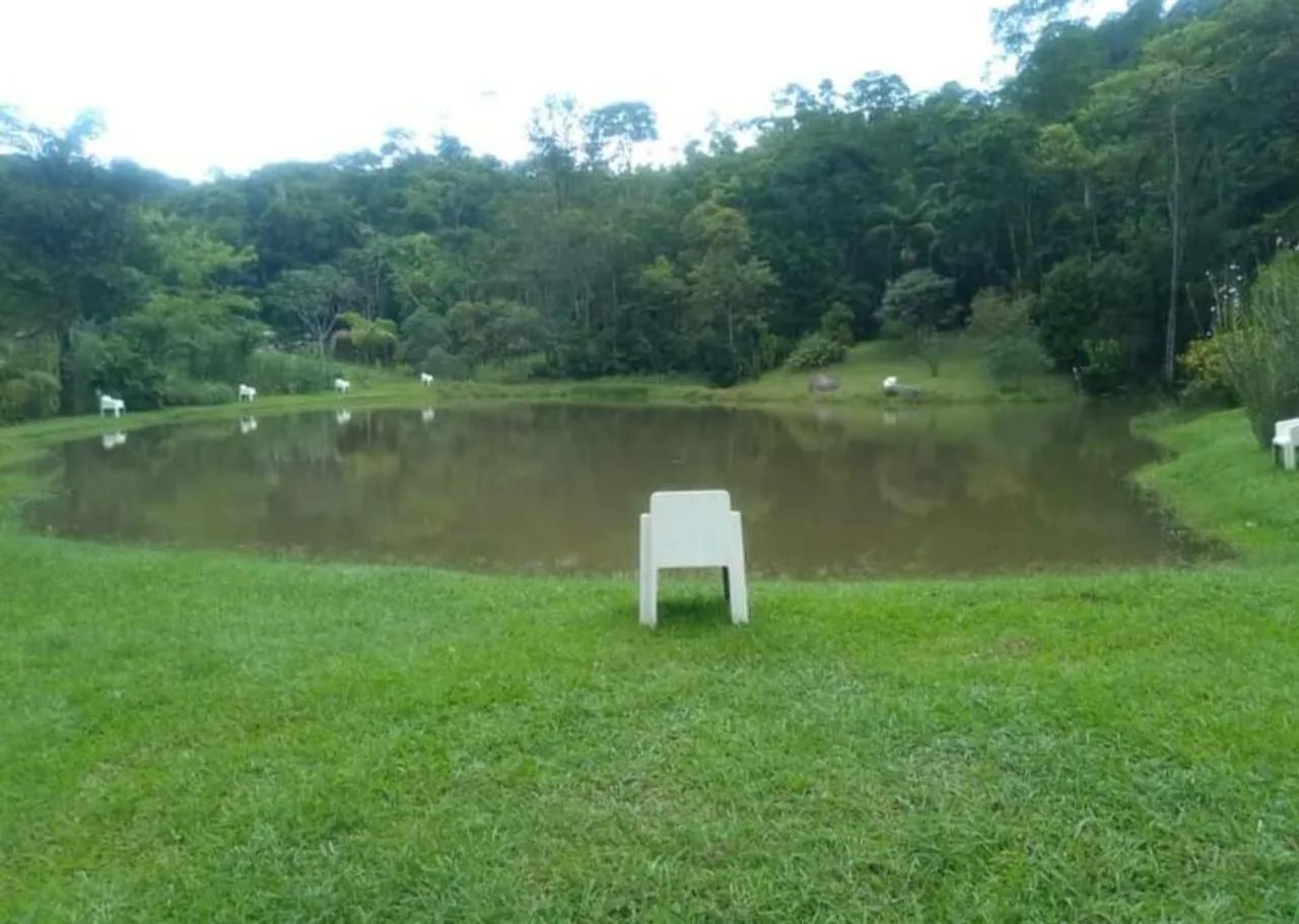 Grama bermuda celebrecion direto do produtor - Foto 2