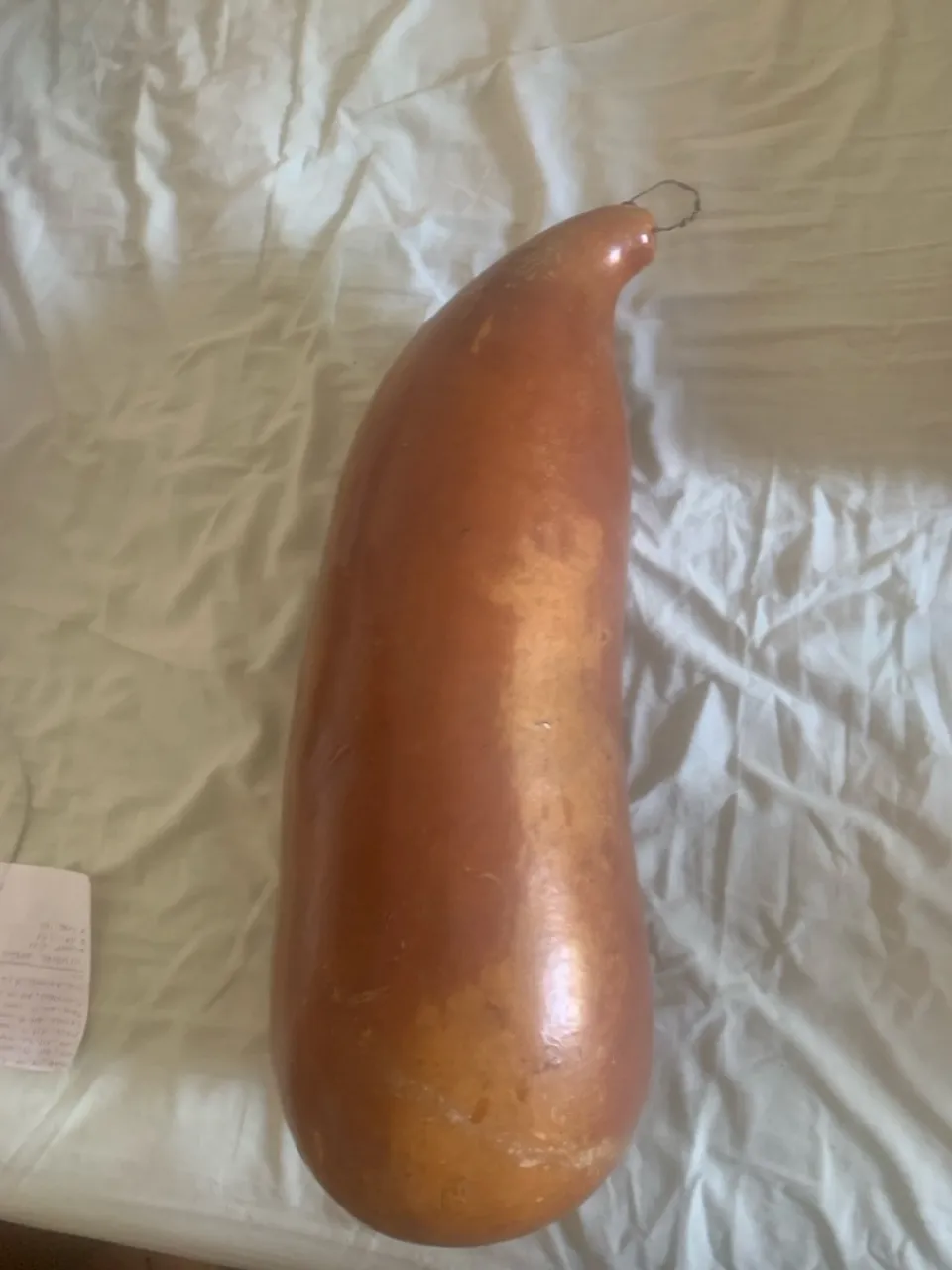 Cabaça gigante