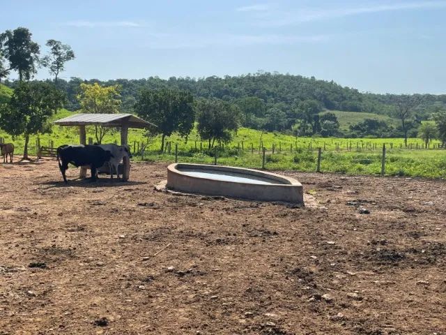Fazenda à Venda Região nobre do TOCANTINS. - Foto 11