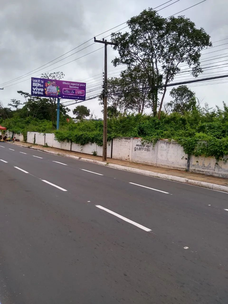 Área  para aluguel com 20000 metros na Av. Zequinha Freire, ao lado do Mix Atacarejo, Tere - Foto 5