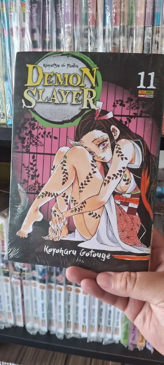 Demon slayer volume 11