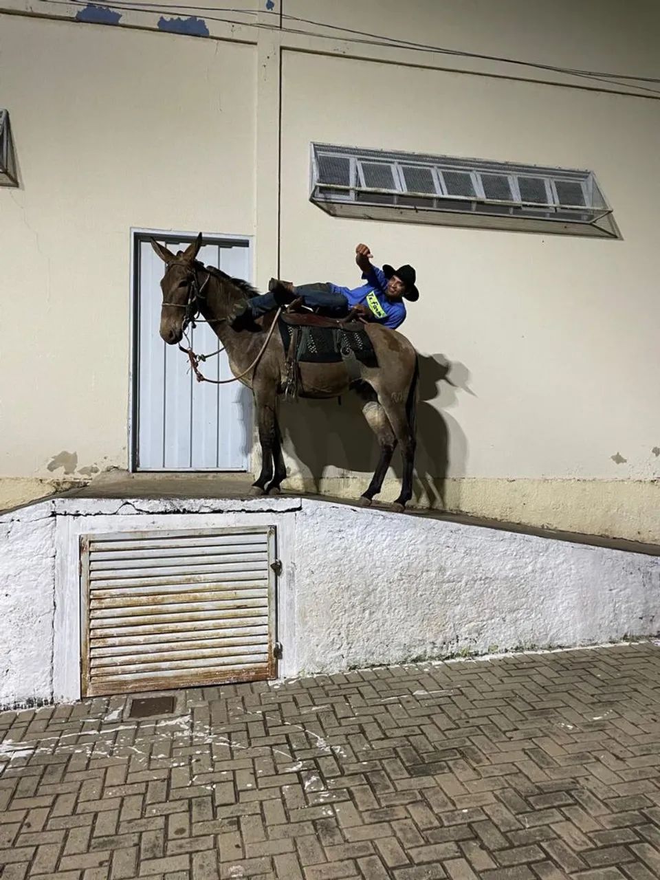 Domador de cavalo  - Foto 6