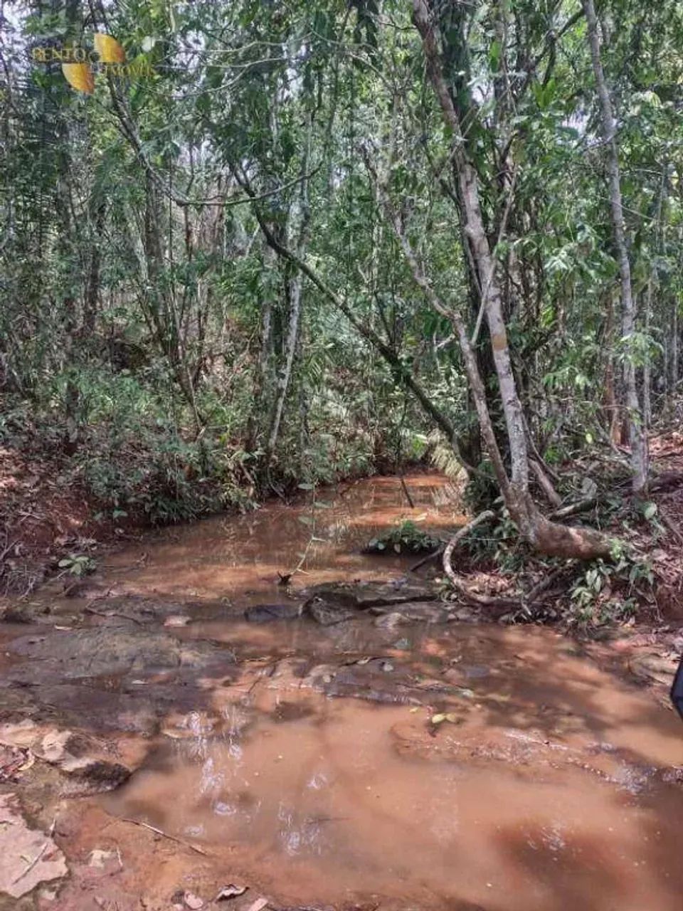 Fazenda com estrutura completa para criação. - Foto 3