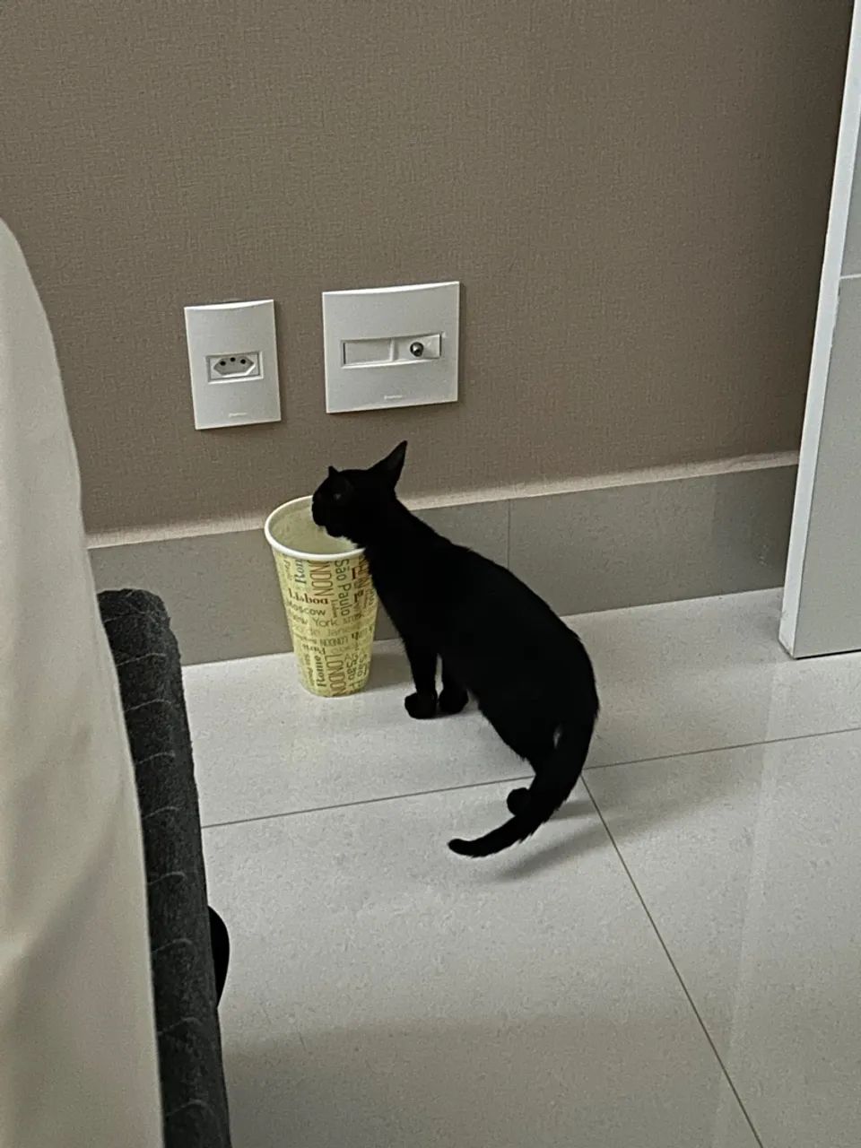 Gatinha preta CASTRAÇÃO GARANTIDA  - Foto 3