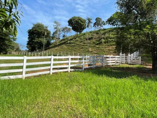 Fazenda à Venda Região nobre do TOCANTINS. - Foto 14