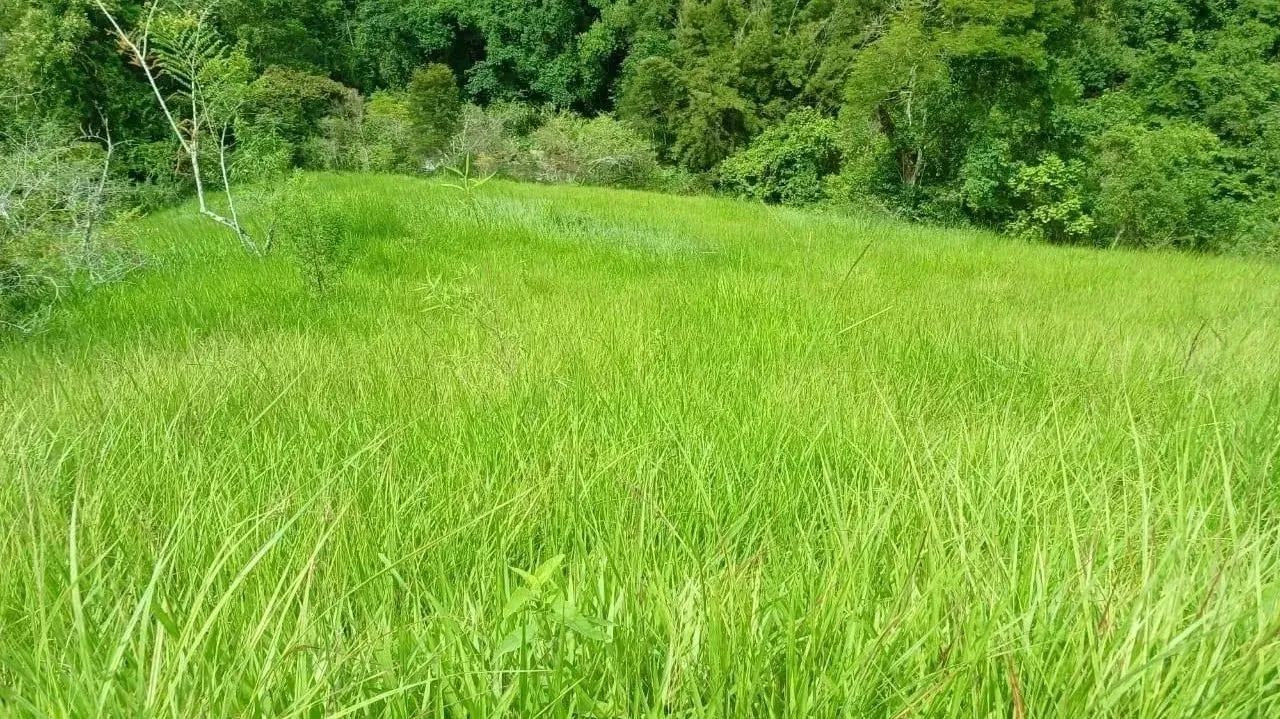 Fazenda em TRAJANO DE MORAES - Trajano de Moraes - Foto 5