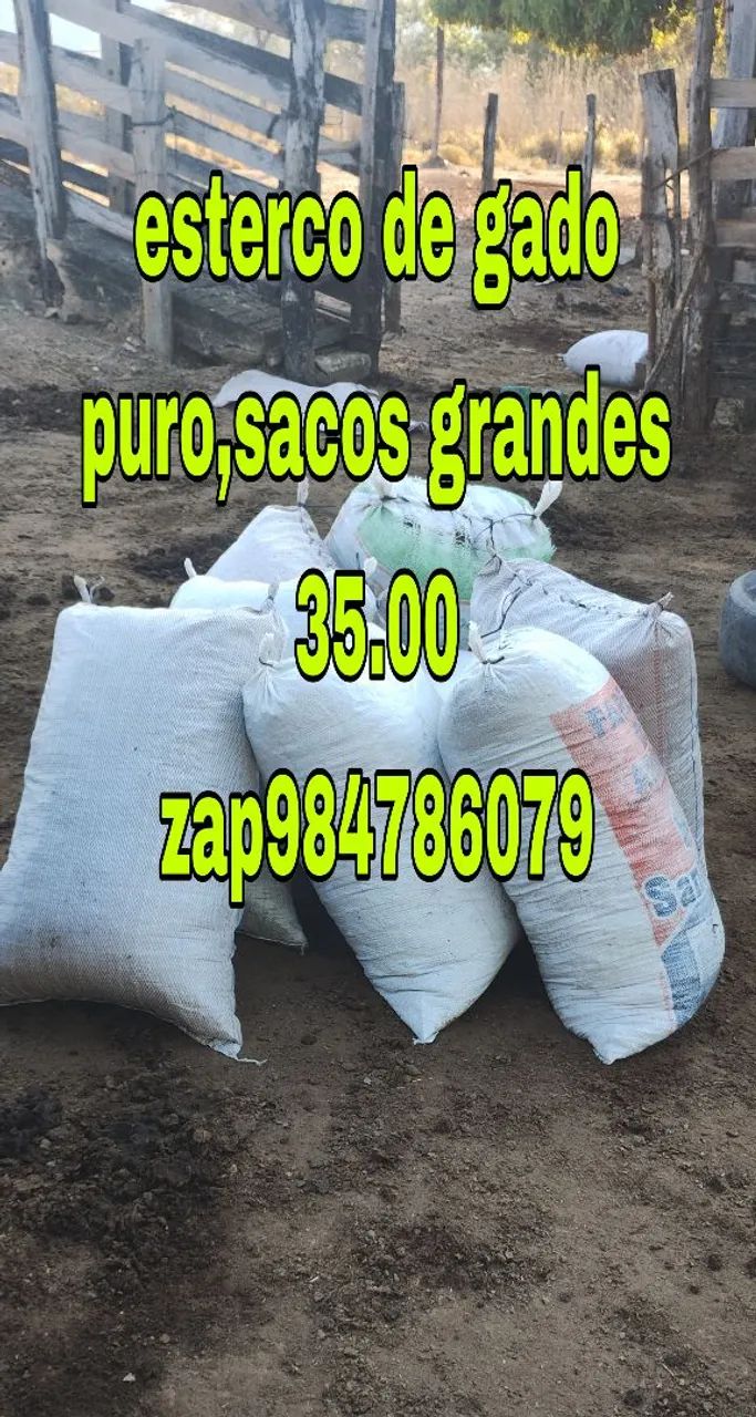 Esterco terra preta e substratos .