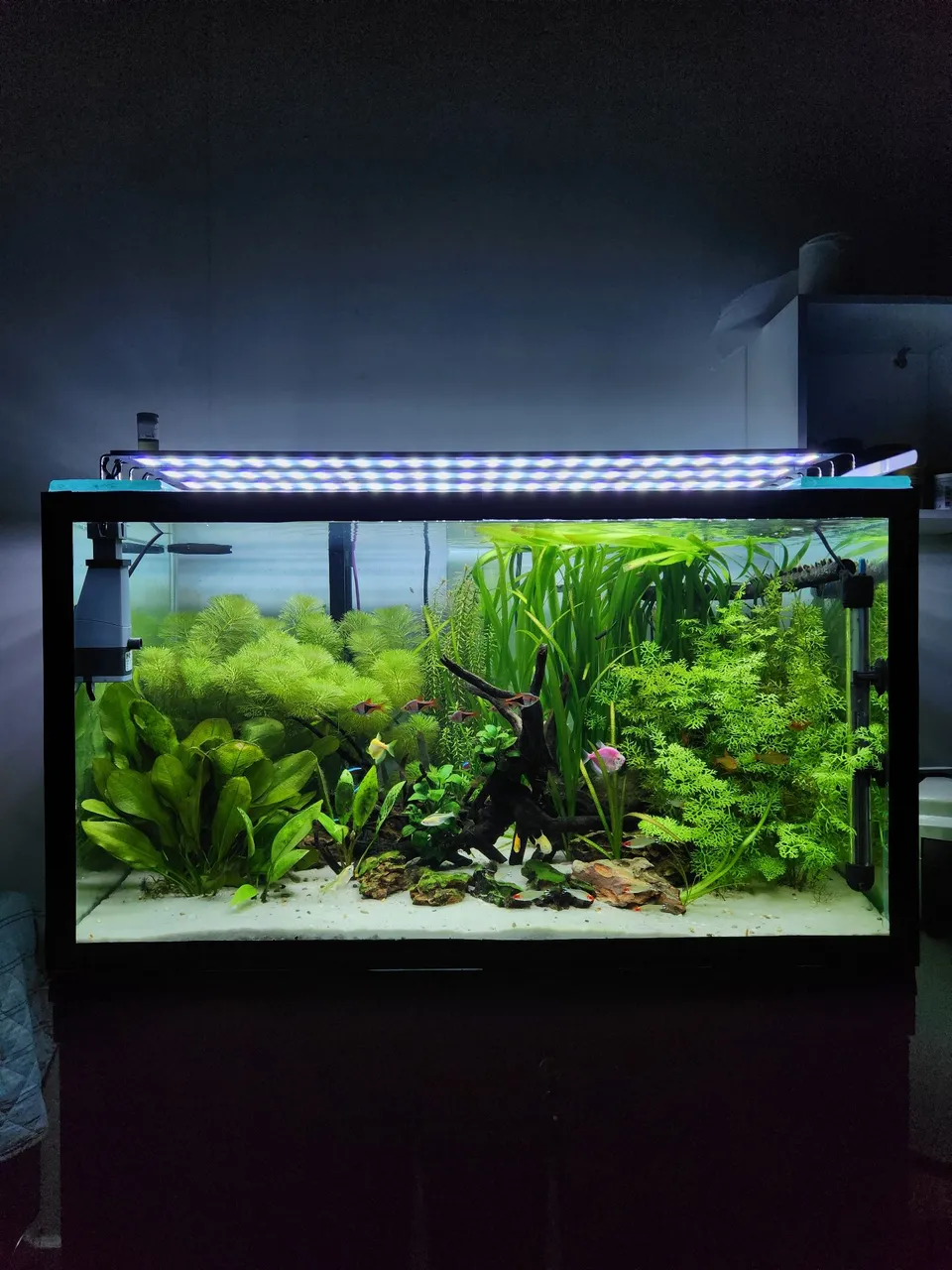 Luminária Soma S800 pra aquário