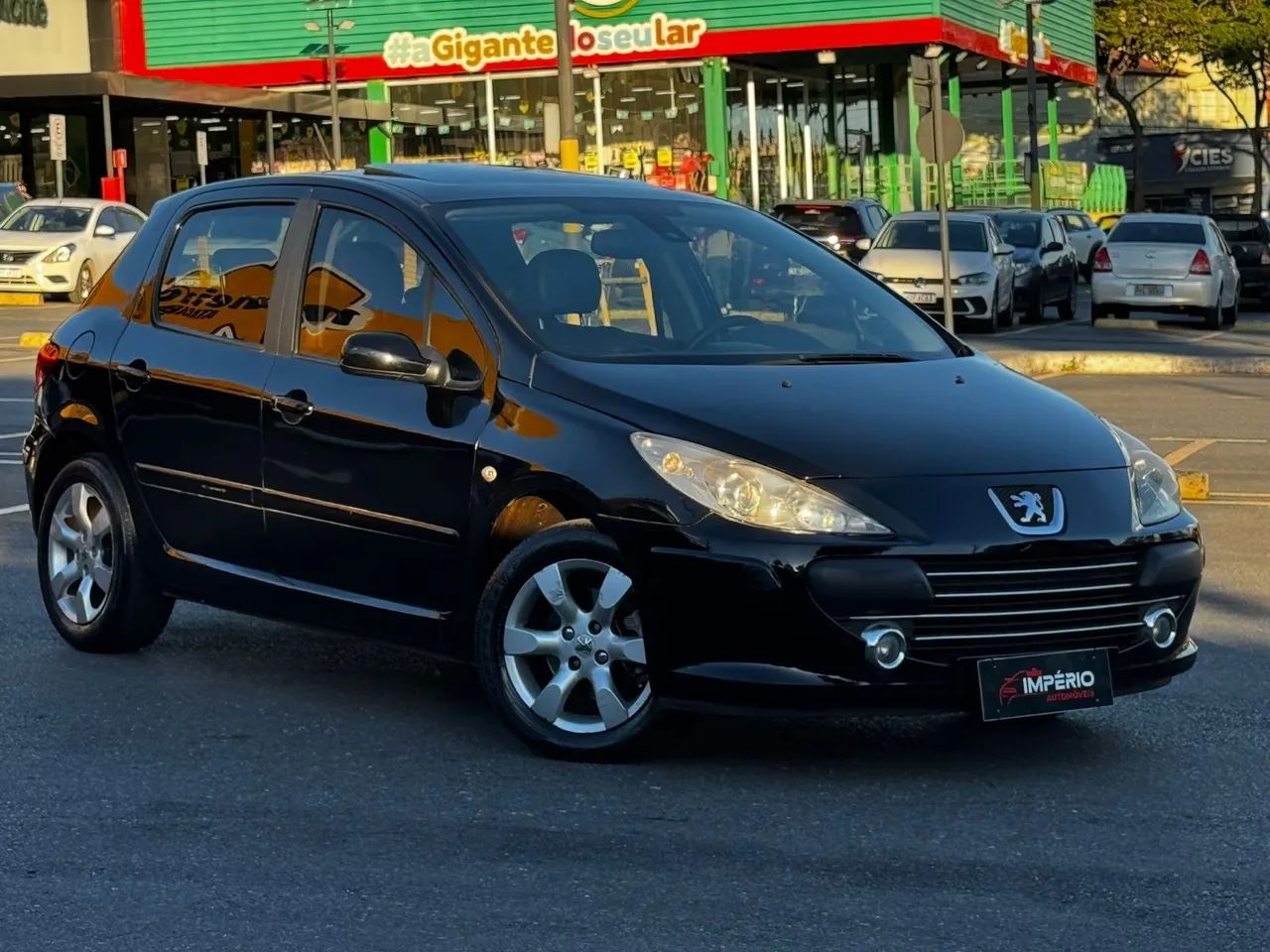 Peugeot 307 2009