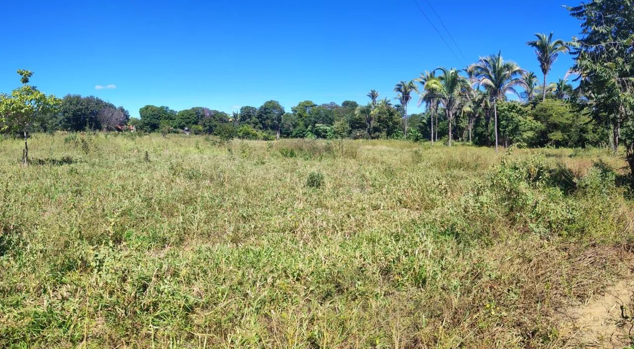 Fazenda 21 Hectares  - Foto 2